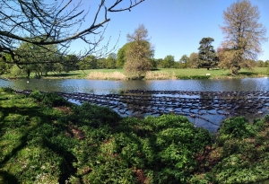 The National Trust, The Vyne - Project update May 2020